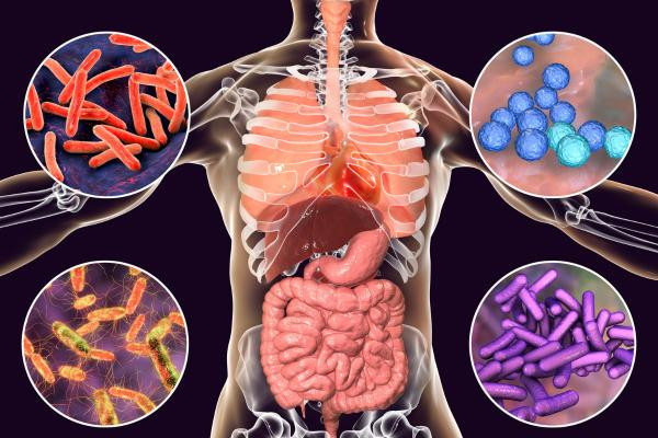human-microbiome