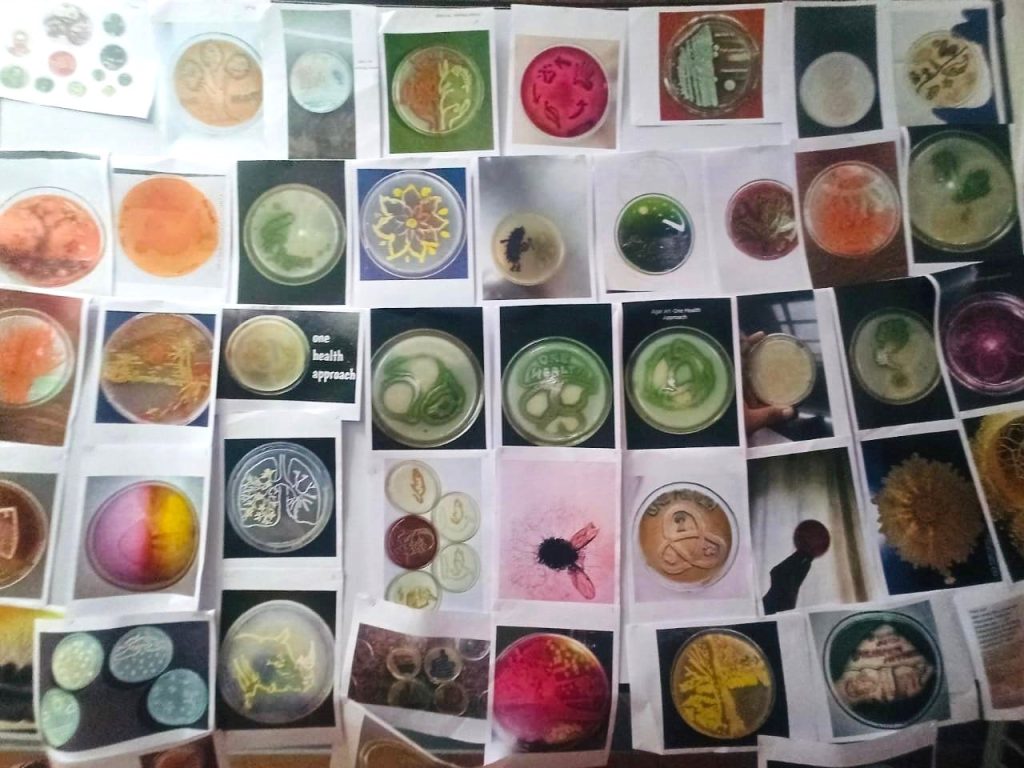 Agar Art